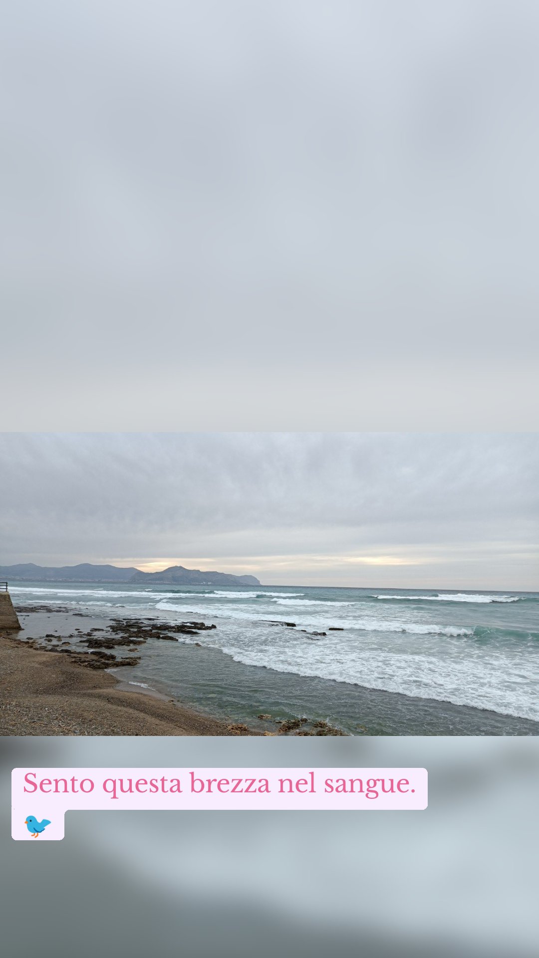Sento questa brezza nel sangue.🐦